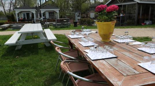 Mattebella Vineyards