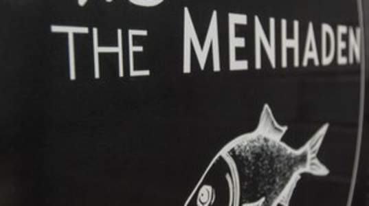 The Menhaden