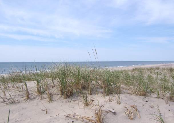 Coopers Beach