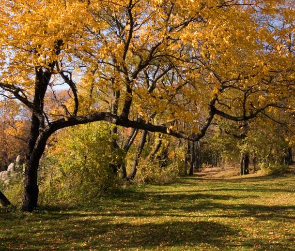 Hempstead Lake State Park