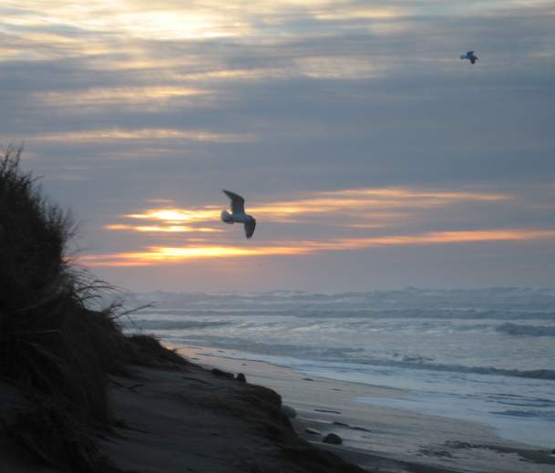 Montauk Point State Park