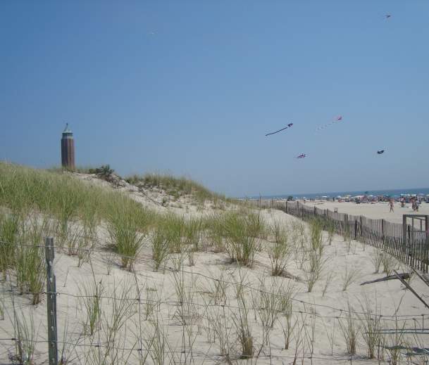 Robert Moses State Park
