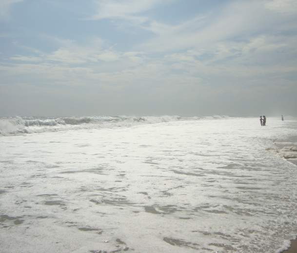 Cupsogue Beach County Park