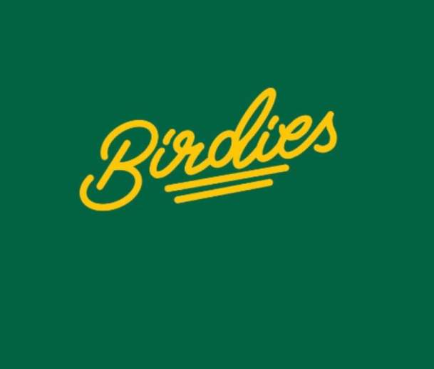 Birdies Indoor Golf and Cocktail Bar