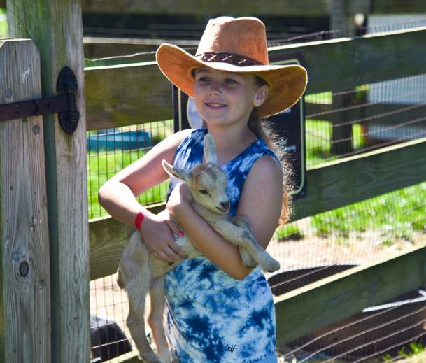 Harbes Family Farm & Vineyard
