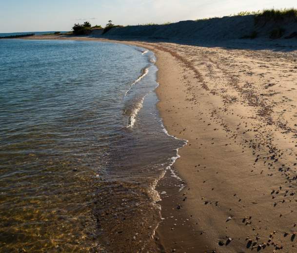 Shell Beach