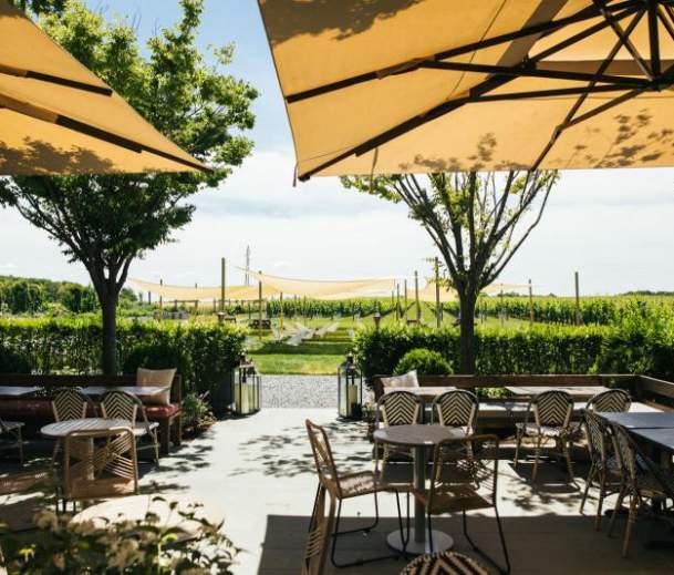Rose Hill Vineyards & Inn