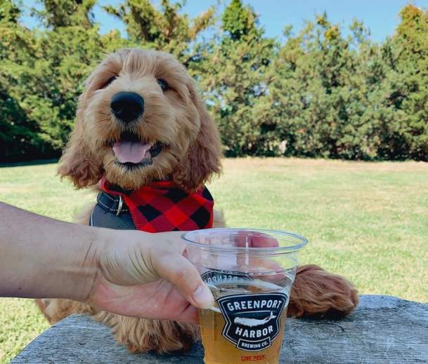Greenport Harbor Brewing Company