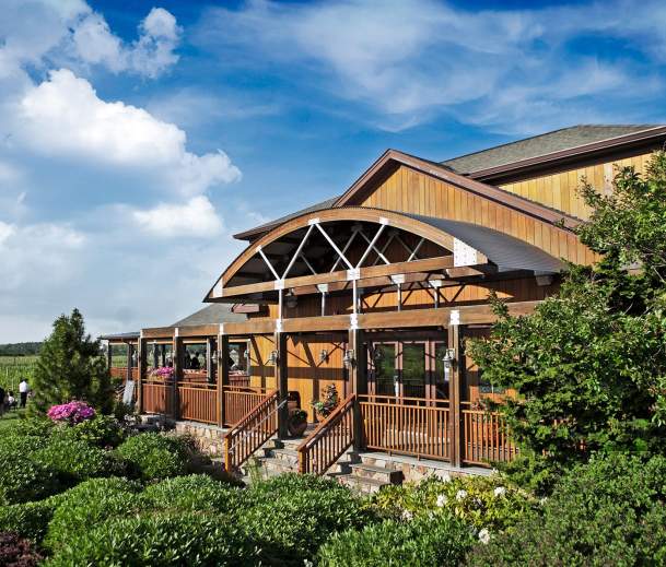 Macari Vineyards