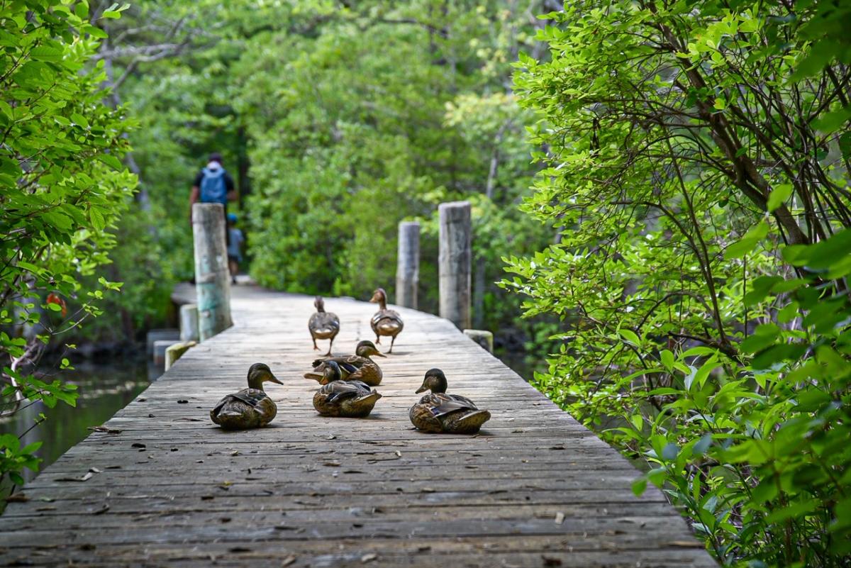 Quogue Wildlife Refuge