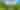 vineyard