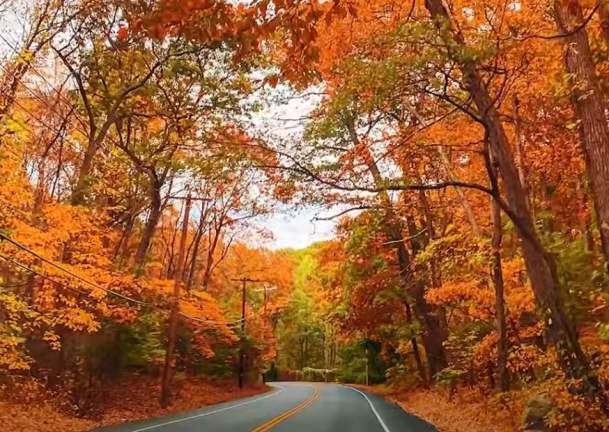 Fall Trip Planning Essentials
