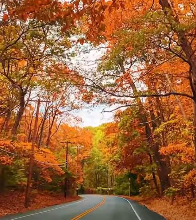 Fall Trip Planning Essentials