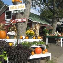 North Fork  Attractions  Farms and Farm Stands  2015older 1.jpg