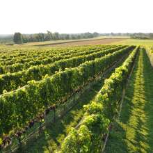 North Fork   Wine Country.jpg