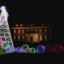 Shimmering Solstice__OldWestburyGardens__112021__Marisa_Losciale.jpg