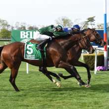 South Shore  Attractions  Belmont Stakes  A Lot.jpg