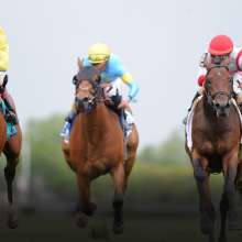 South Shore  Attractions  Belmont Stakes  Bel16_Hero1_1556x800_1.jpg