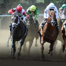 South Shore  Attractions  Belmont Stakes  Bel16_Hero1_1556x800_2.jpg