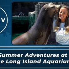 Summer Adventures at The Long Island Aquarium
