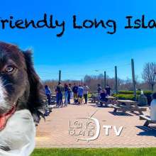 Dog Friendly Long Island!