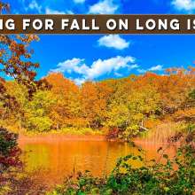 Falling for Fall on Long Island