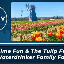 Springtime Fun & The Tulip Festival at Waterdrinker Farm