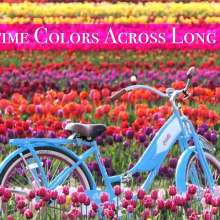 Springtime Colors Across Long Island