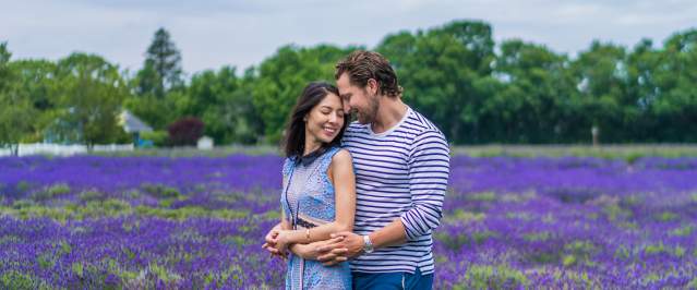 Lavender by the Bay