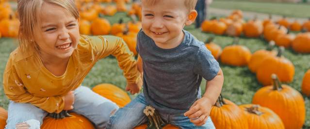 Pumpkin Picking