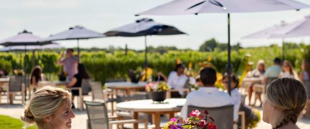 Peconic Bay Vineyards