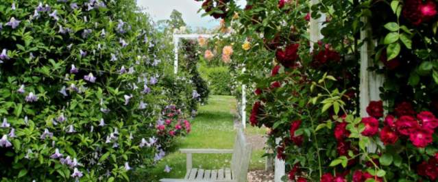 bridge-gardens
