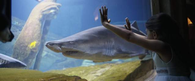 Aquarium