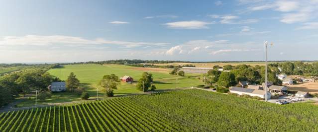 Wine Country Aerial