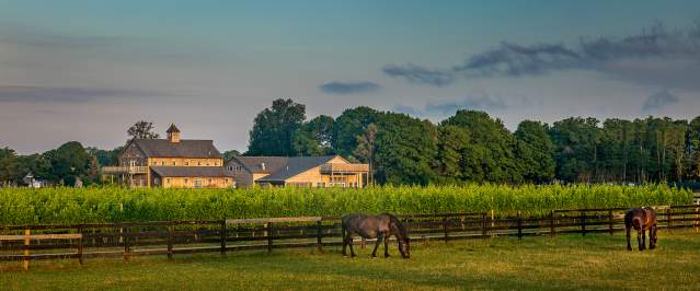 North Fork  Wine Country (3).jpg