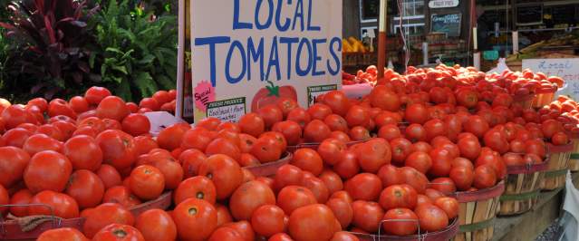 locally grown tomatoes
