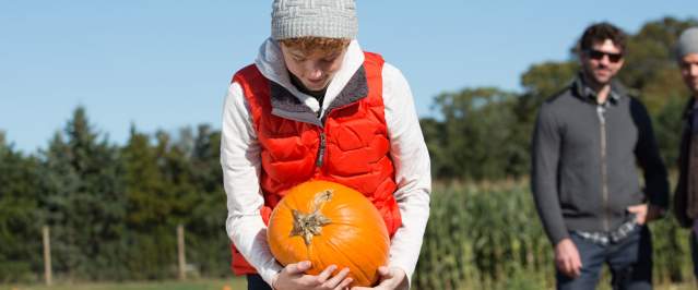Fall