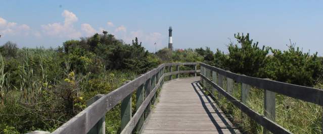 Fire Island - lighthouse in the distance