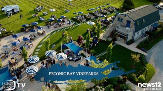 LITV Peconic Bay Vineyards