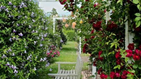 bridge-gardens