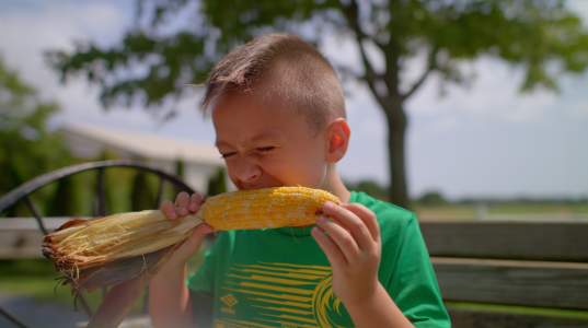 boy eating corn
