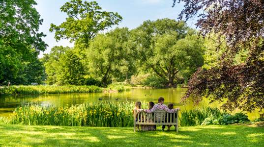 Wooden bench facing a calm pond in a Long Island park, surrounded by neatly cut grass, tall trees, reeds along the water’s edge, and lush green foliage under a bright sky.