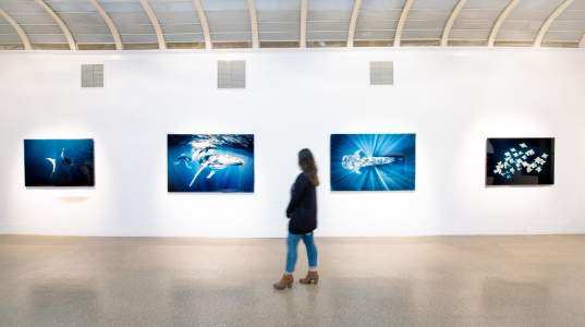 Art Gallery