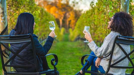 winter Wine Country