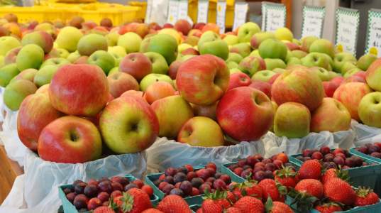 fresh fruit