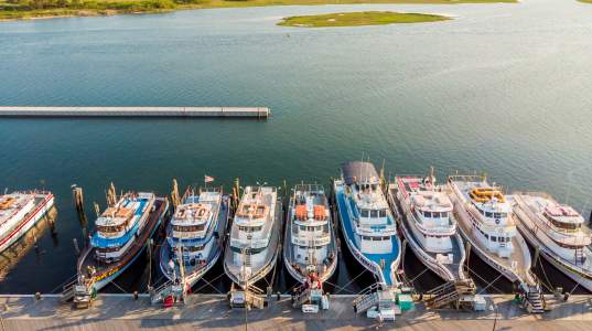 boats in a marina dock
