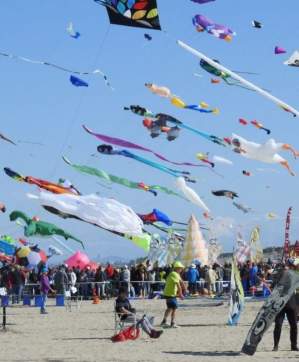 Kite Festival