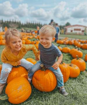 Pumpkin Picking