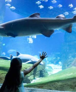 Long Island Aquarium