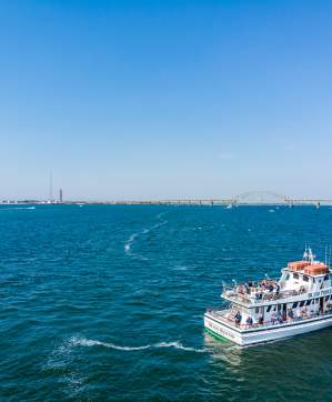 cruise tour